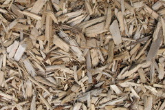 biomass boilers Grains Bar